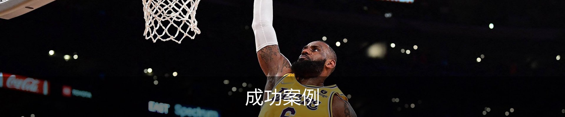成功案例