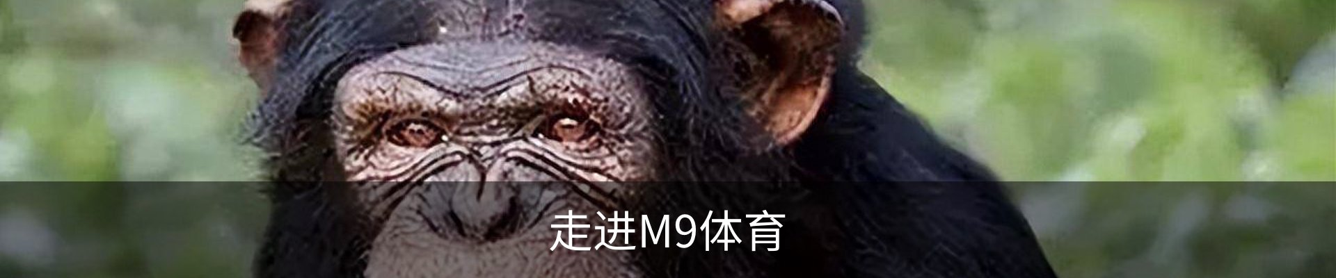 走进M9体育